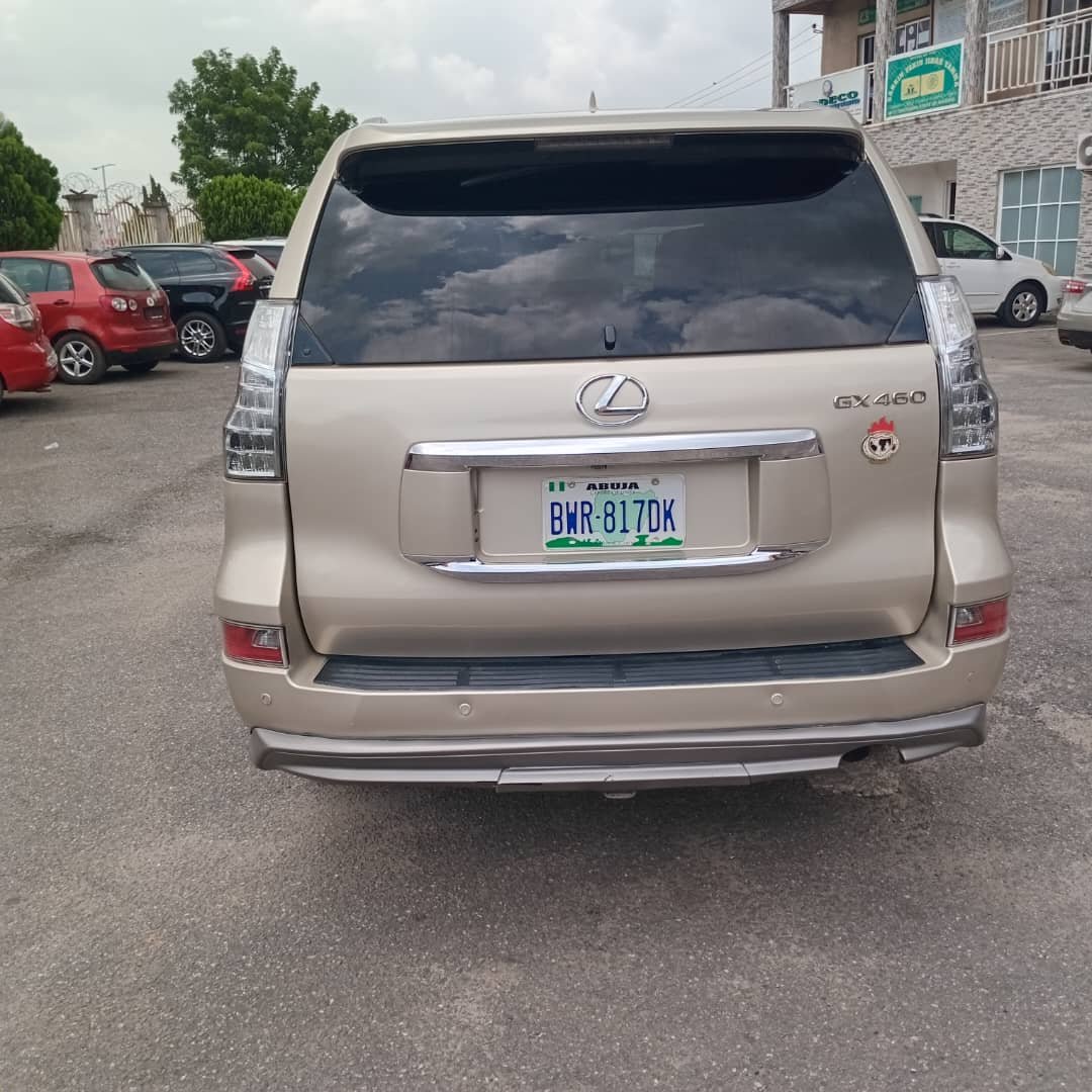 WhatsApp Image 2025-11-29 at 16.01.54